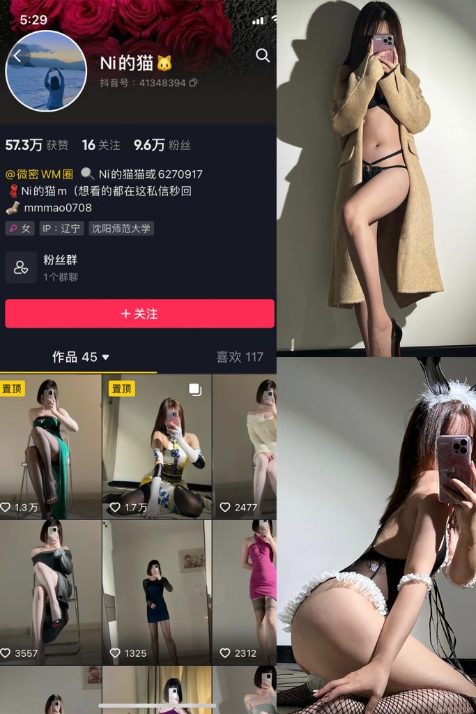 图片[1]-Ni的猫猫 微密圈 NO.005期-微密秀-微密圈秀人铁粉空间抖音网红圈主资源